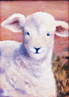 Pose for Ewe